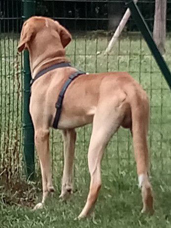 img_20250824_161109_6658603272434731910500