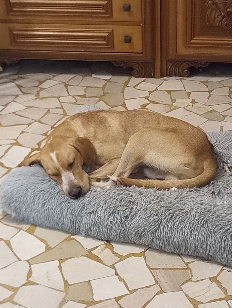 img_20250824_221344_8646128067426398176151