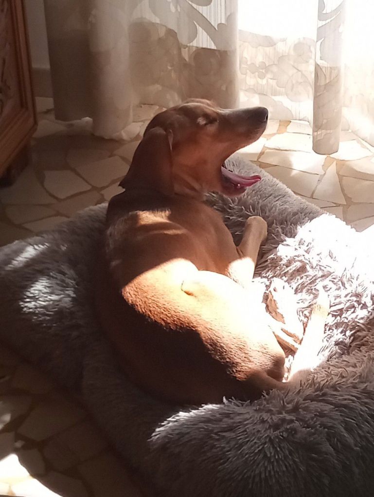 img_20250830_161045_6558100618556372510149