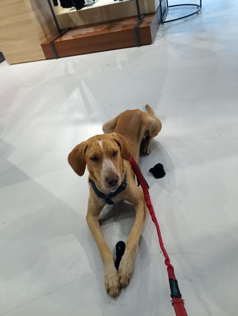 img_20250831_192240_2464678339517273207411