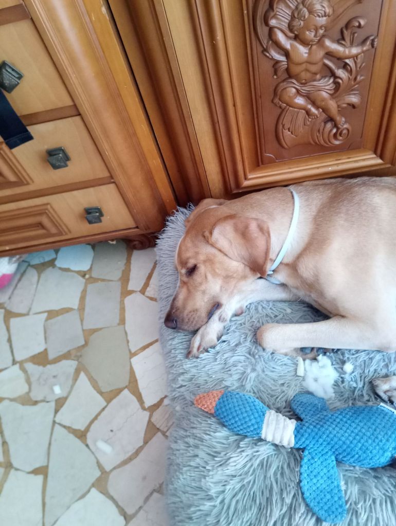 img_20250831_142221_7622099549136855854155