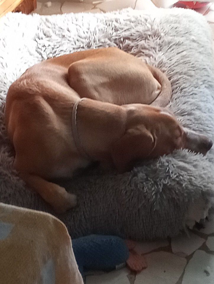 img_20250903_174132_9236540925859194488074