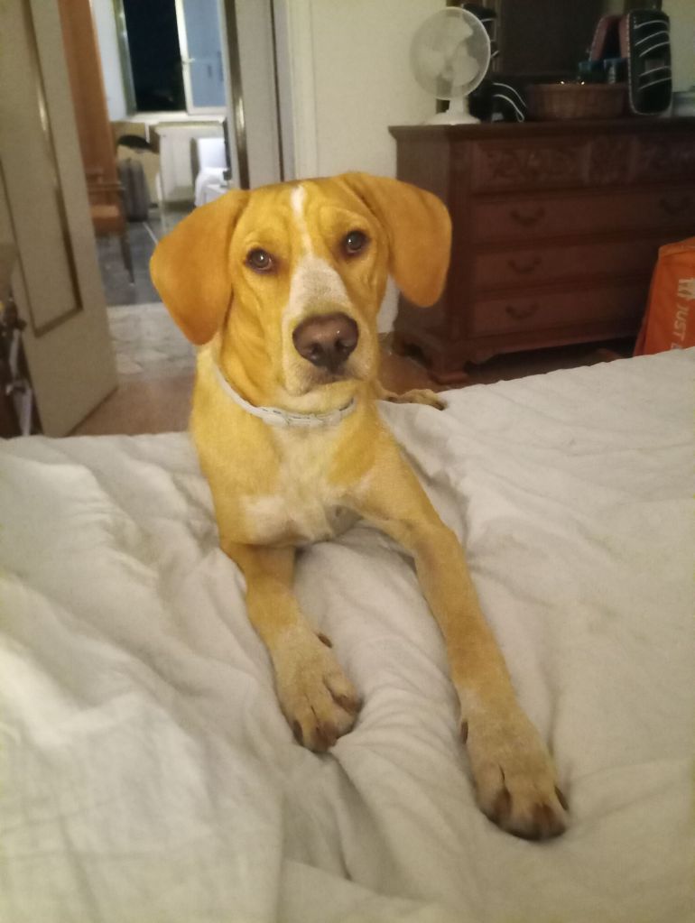 img_20250903_234612_0027015084233695716997